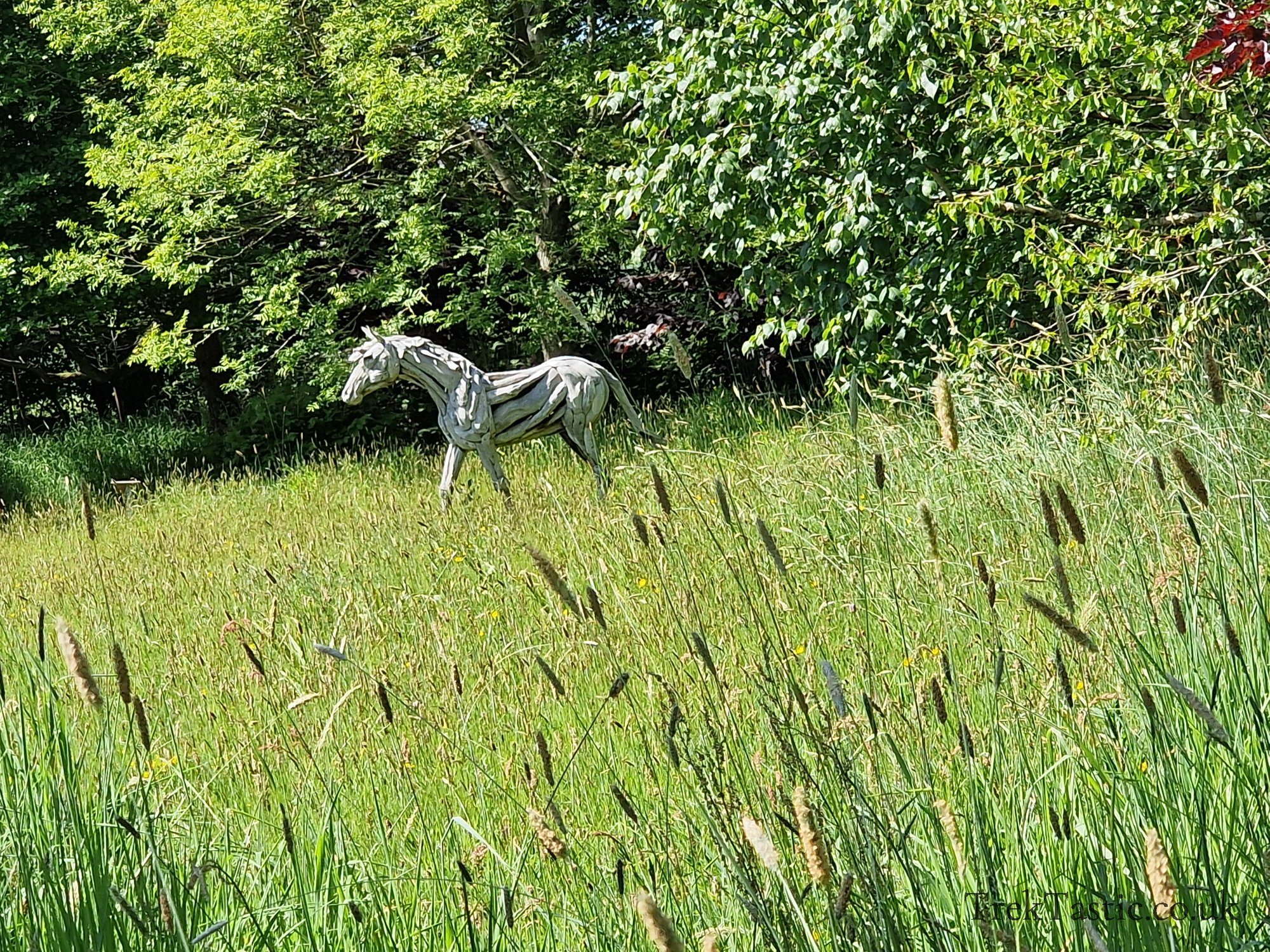 Westonbury Mill Water Gardens gallery image 70