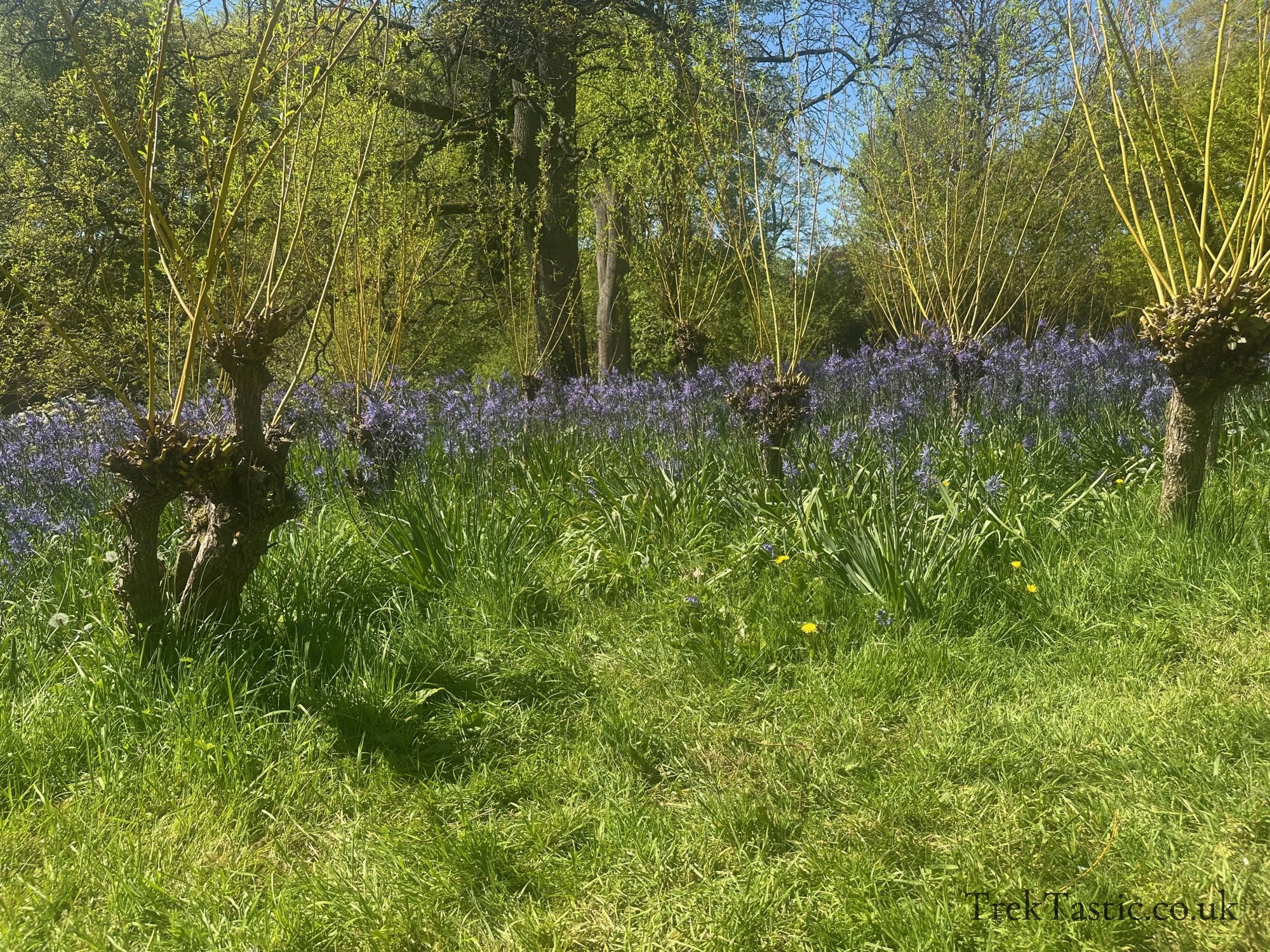 Wightwick Manor gallery image 12