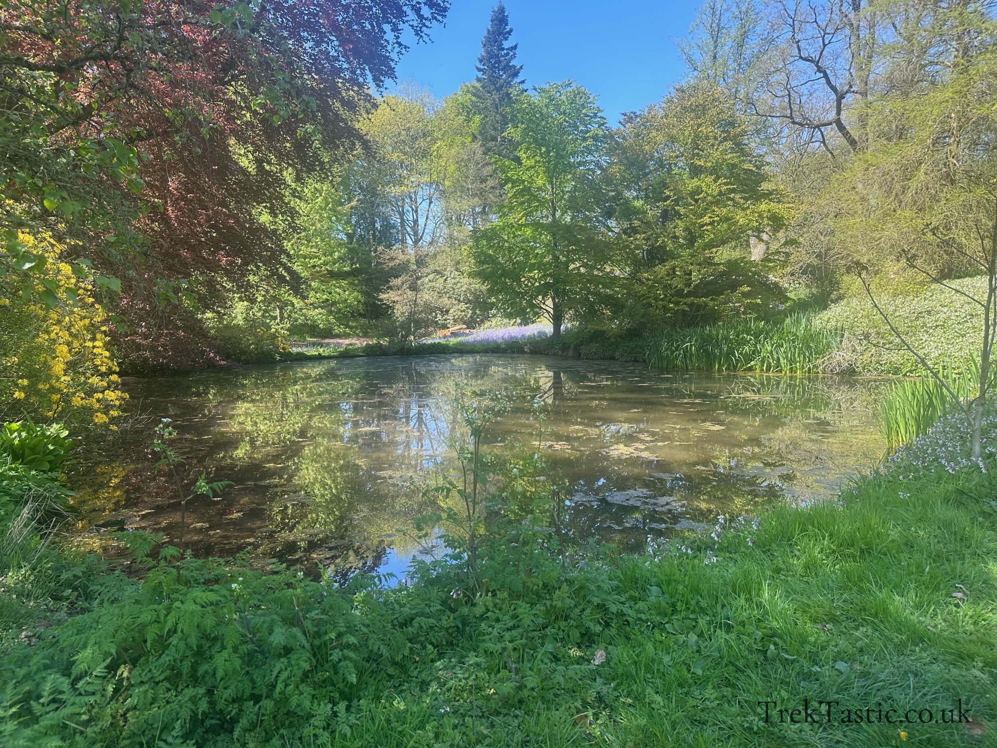 Wightwick Manor gallery image 14