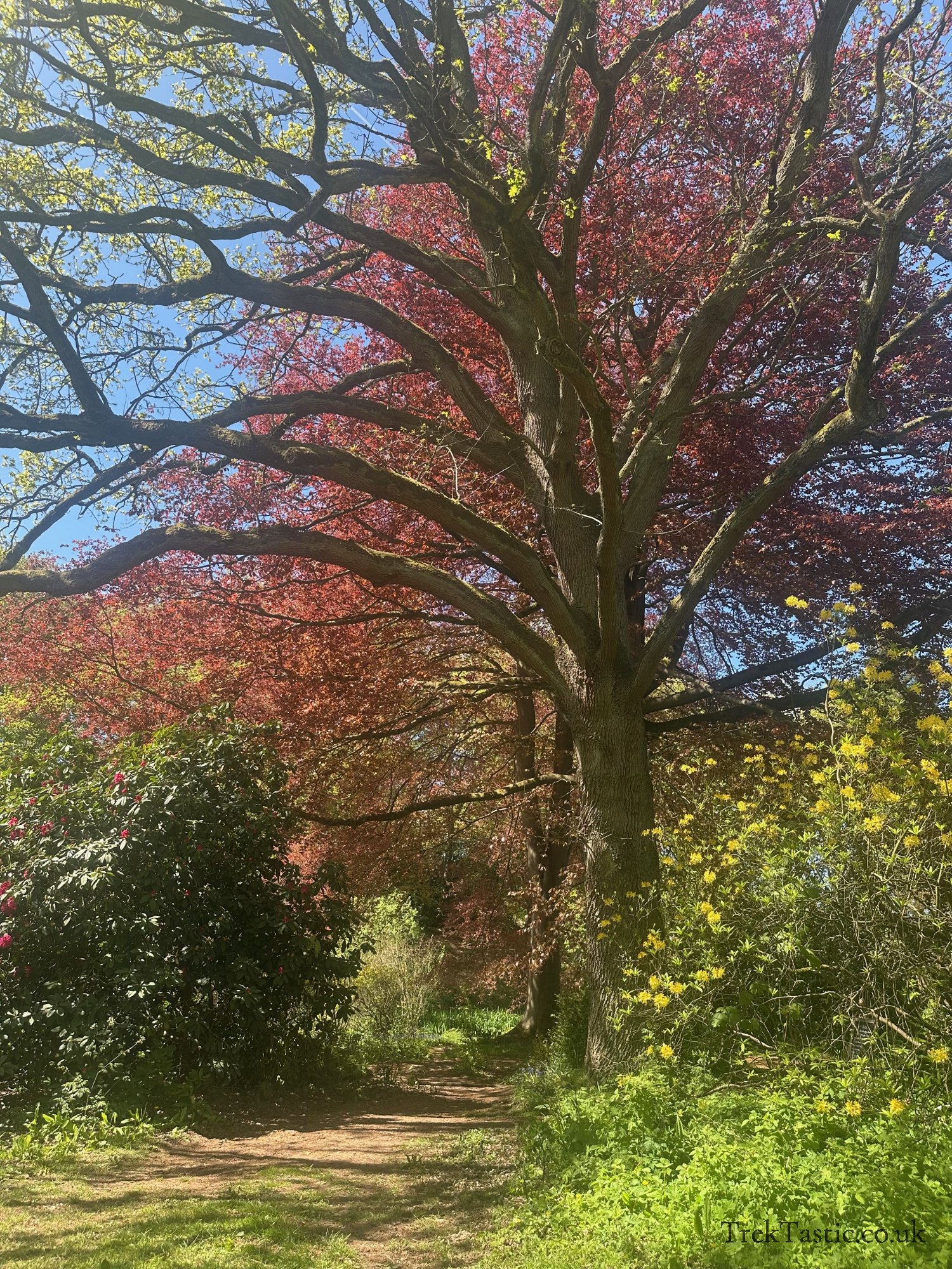 Wightwick Manor gallery image 15