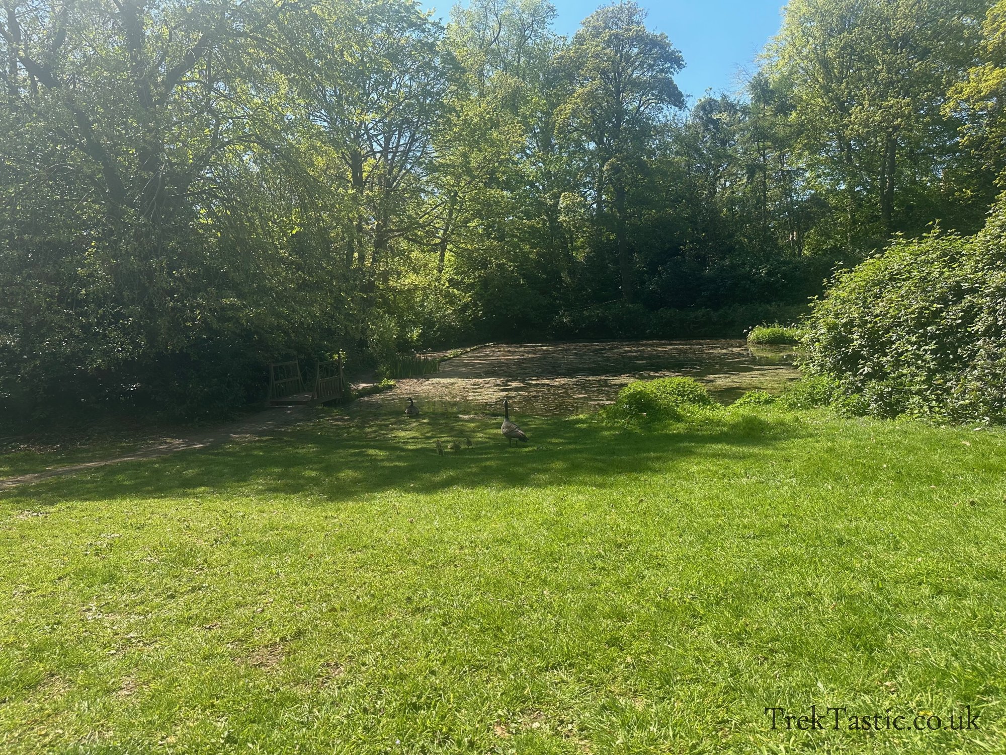 Wightwick Manor gallery image 16