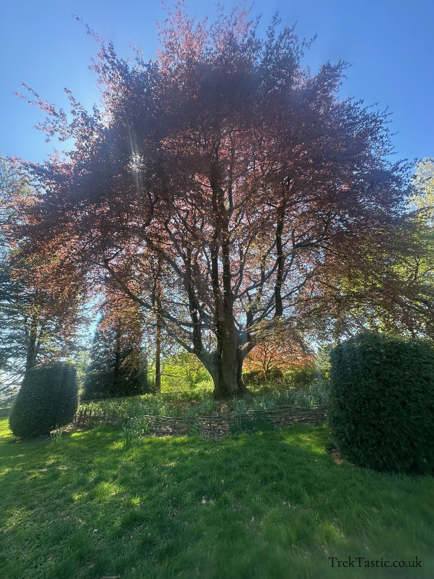Wightwick Manor gallery image 26