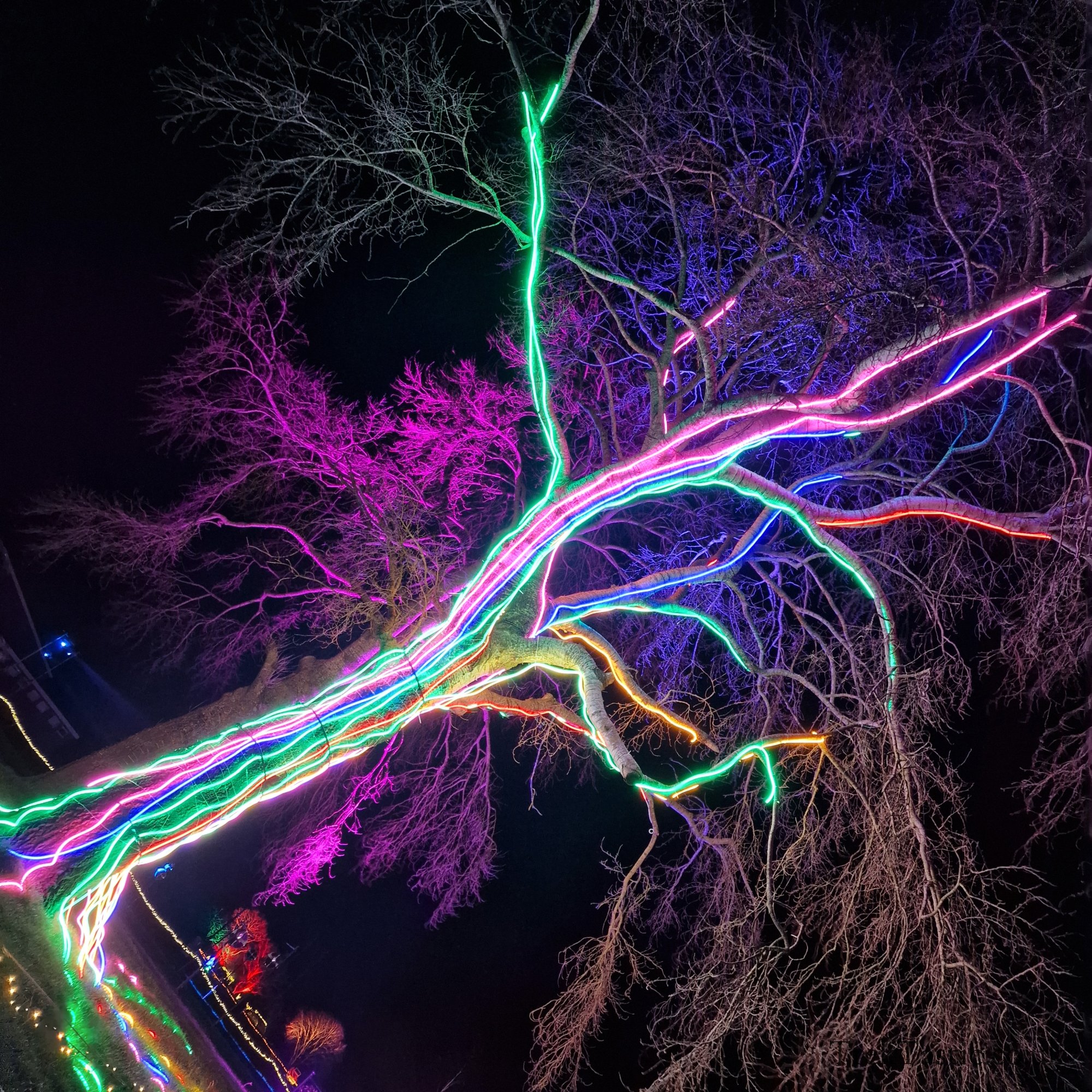Winter Glow Worcester gallery image 3