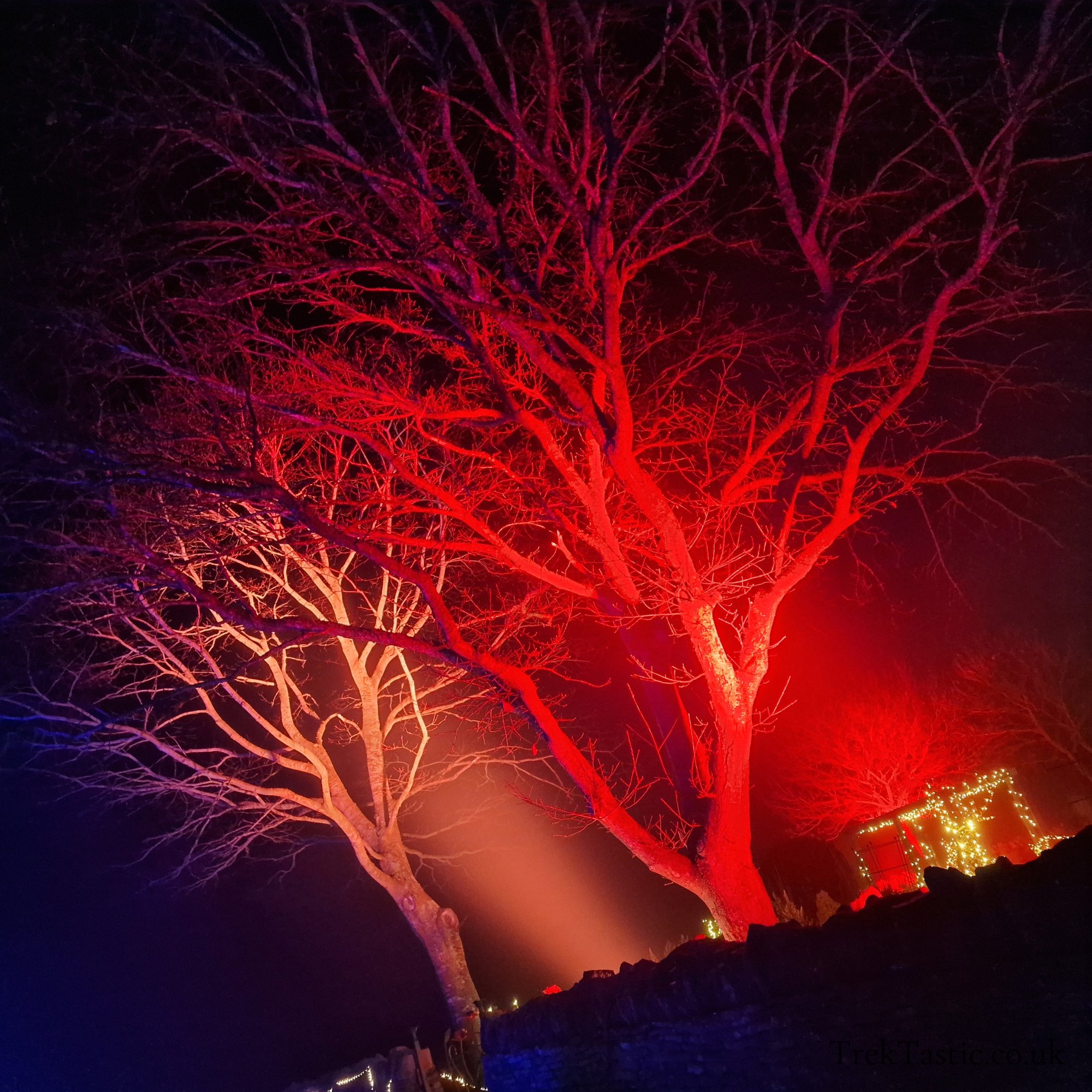 Winter Glow Worcester gallery image 11