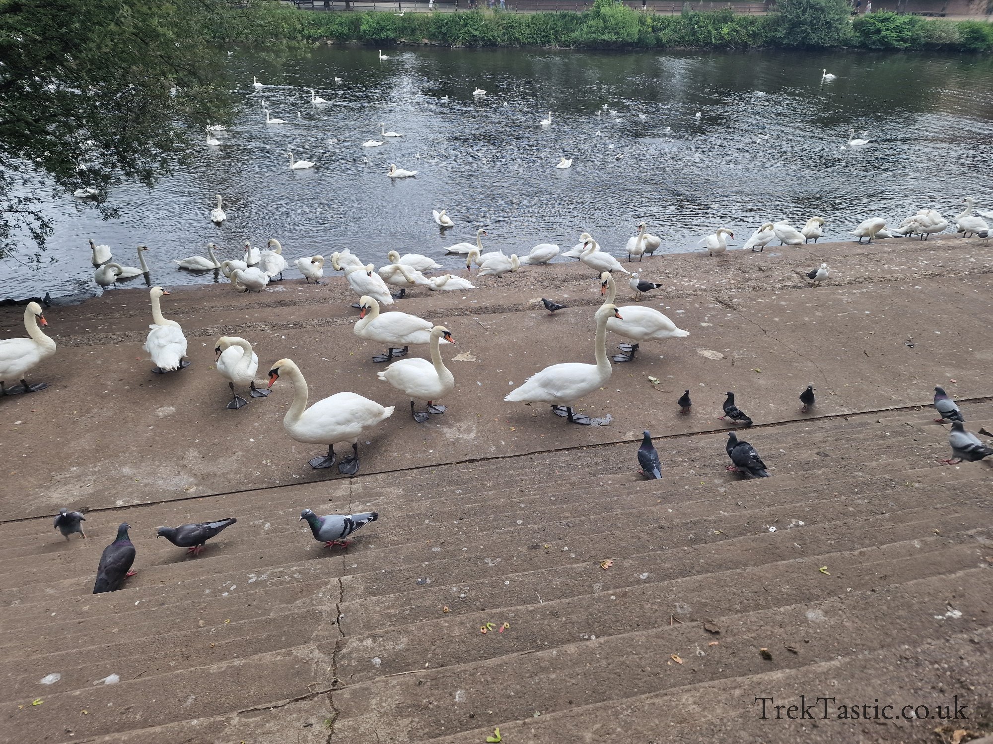 Worcester River gallery image 1