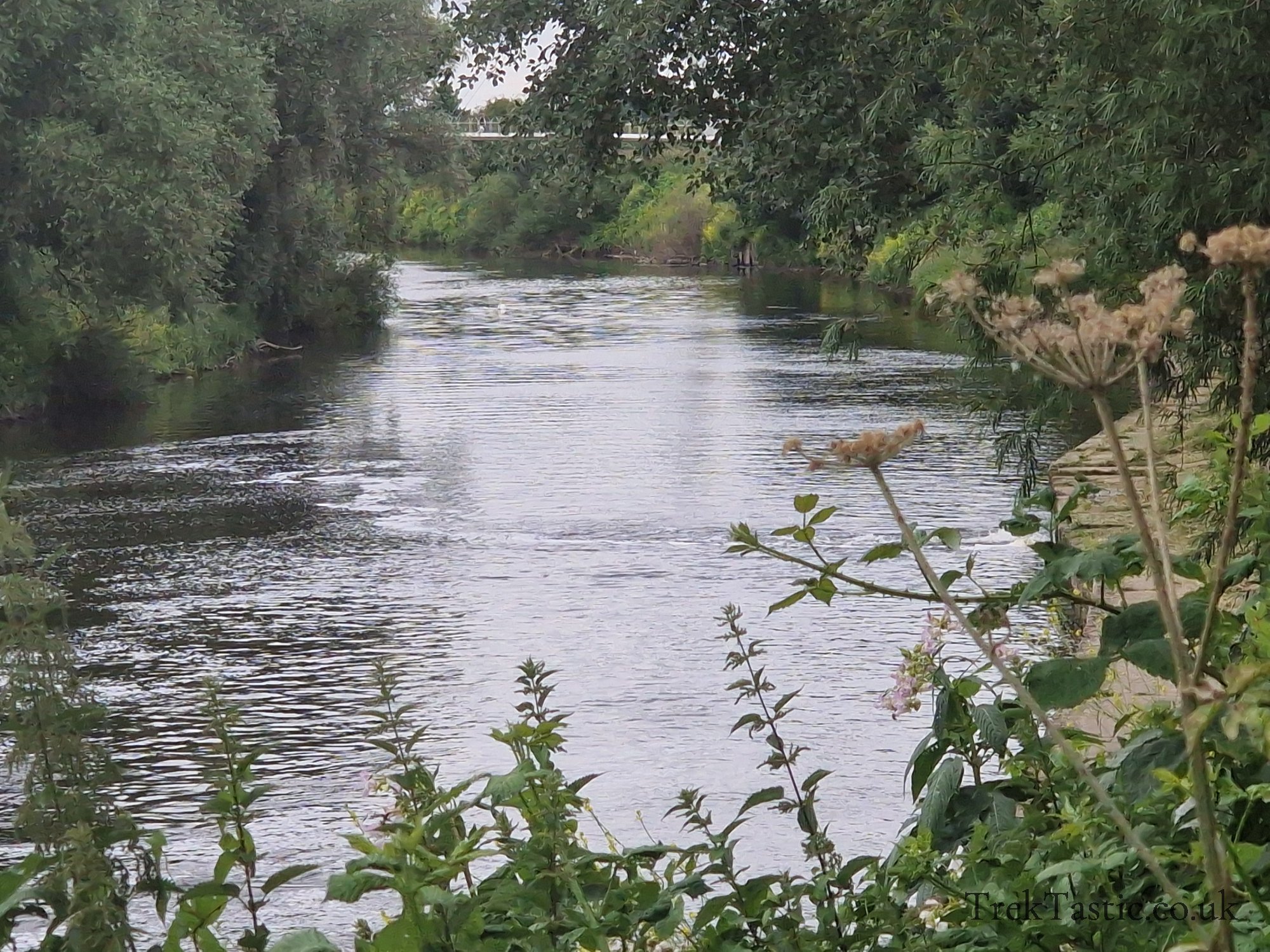 Worcester River gallery image 4