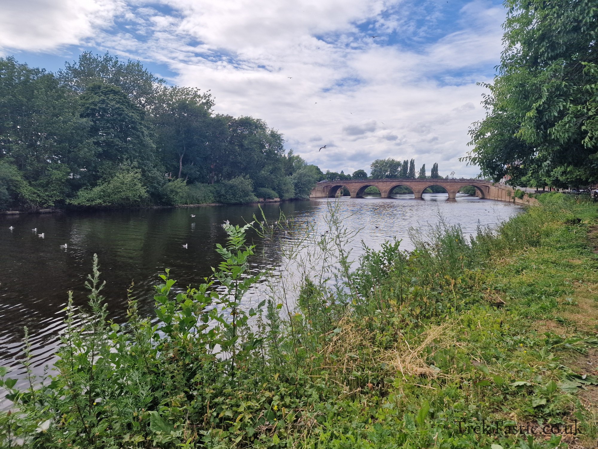 Worcester River gallery image 9